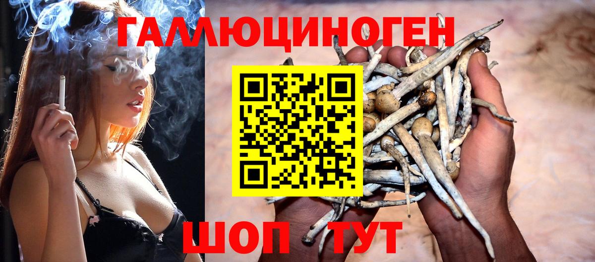 Галлюциногенные грибы прущие грибы  Вход с VPN  Кашира 