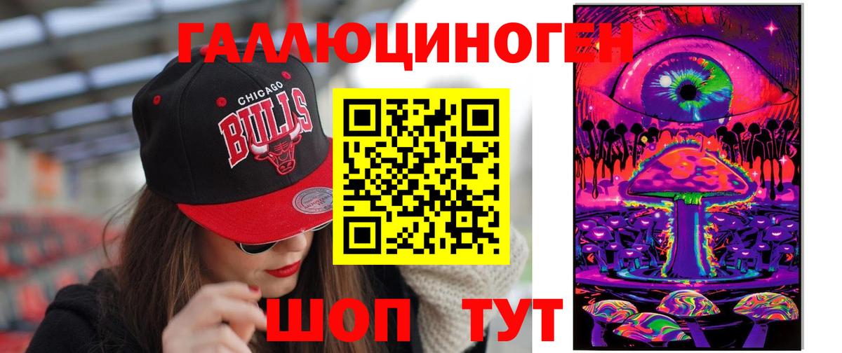 Псилоцибиновые грибы Psilocybe Кашира